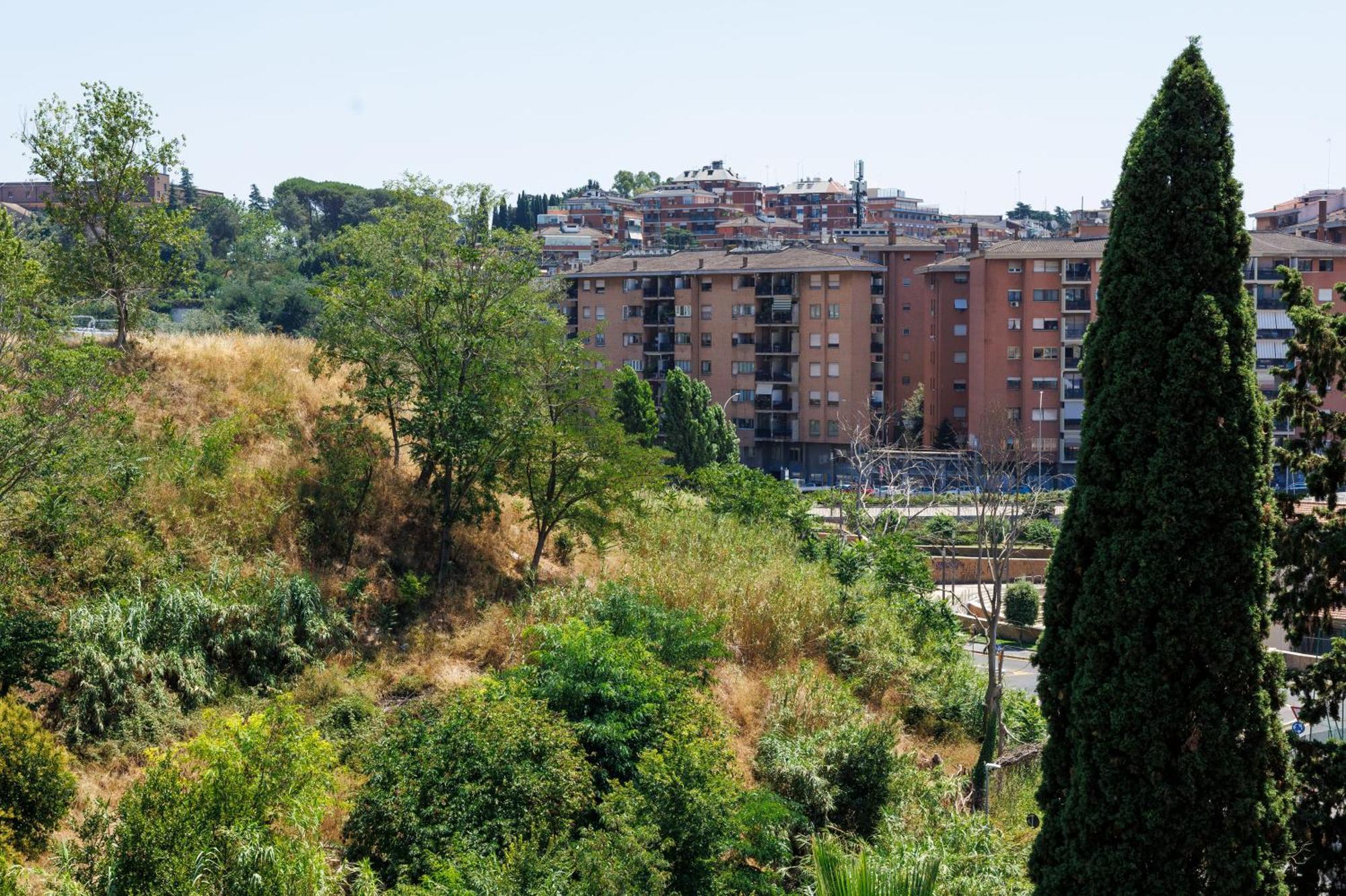 Aurelia Luxury Appartamento Roma
